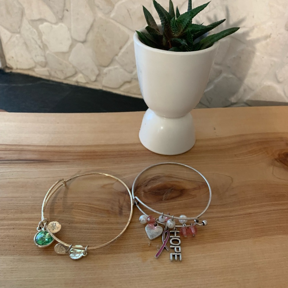 ALEX & ANI/ AVON | Set of 2 | Charm Bangle Bracelets